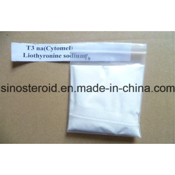 Perte de poids Storm Hormone Poudre Cytomel Liothyronine Sodium (T3 L-Triiodothyronine)